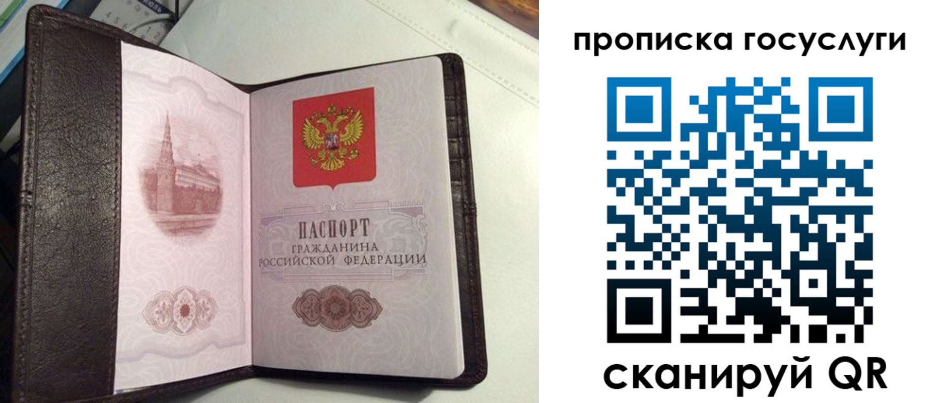 временная прописка в Павловском Посаде